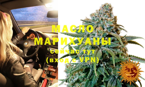 стаф Гусев