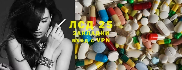 стаф Гусев
