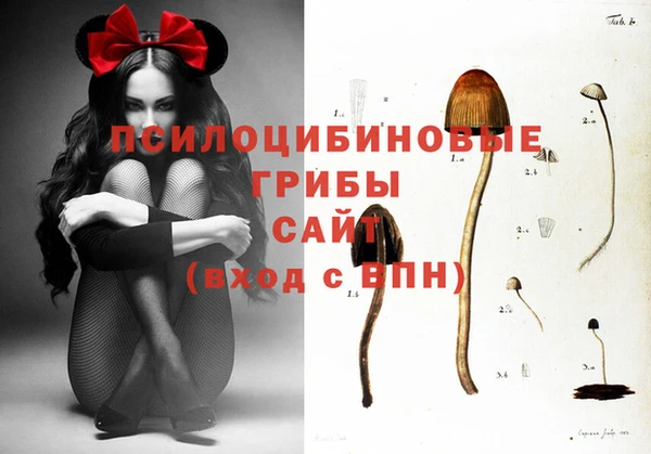 мдпв Гусь-Хрустальный