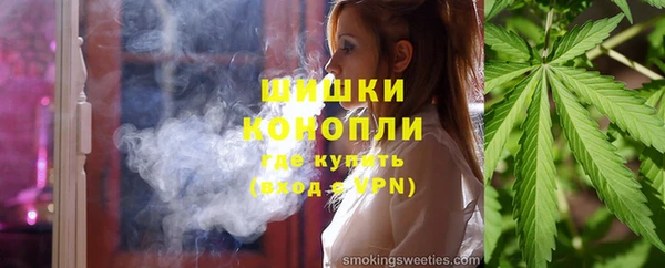 стаф Гусев
